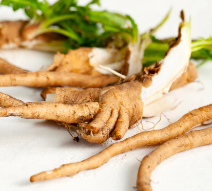 Chicory Root Inulin – SlimTide prebiotic