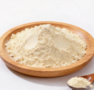 Probiotic Blend – SlimTide probiotics